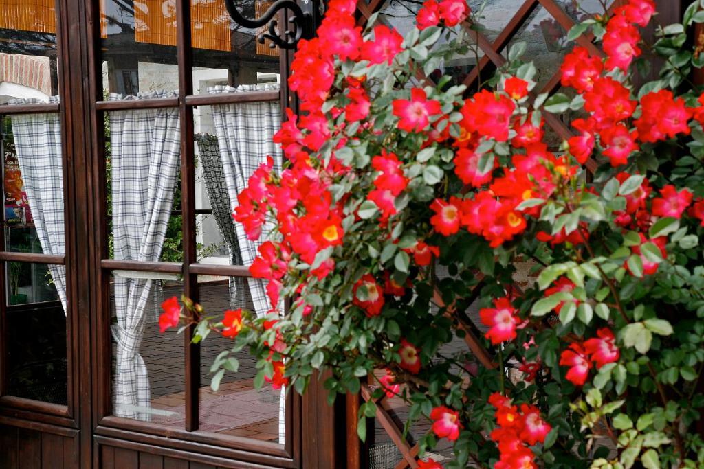 Al Gallo Nero Inn
